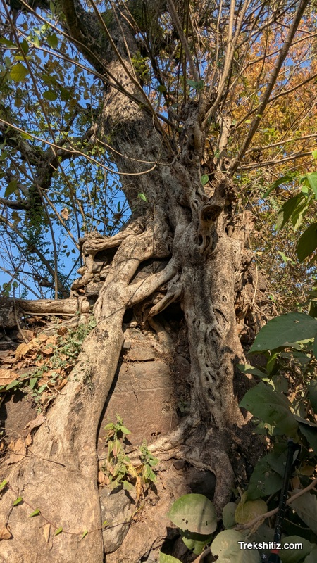 Carved stone Mandvi Kot